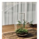 책상 위의 작은 정원, 테라리움 만들기 이미지