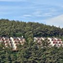 별빛정원펜션 이미지