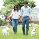 더 건강한 동물병원 이미지