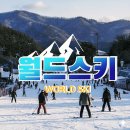 엘리시안스키강습맥시멈렌탈샵 | 엘리시안강촌 렌탈샵 스키강습 이용 후기 정리