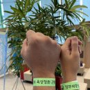 정부세종청사 옥상 정원길 | 정부세종청사 옥상정원 방문 ! &lt;B코스&gt; 체험 후기