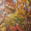 블루힐 단독 풀빌라 이미지