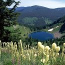 카페링크 이미지