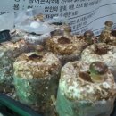 농업회사법인(주)동산농장 이미지