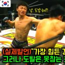 UFC 파이터 최두호를 가장 힘들게 만든 일본 파이터, 조선의 타격왕을 도발한 결과는? 이미지