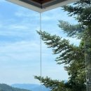 베니베럼 이미지