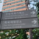 2459 | 유성온천 족욕체험장 후기 - 봉명동 데이트 코스와 주말 힐링 여행 추천