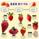 11시 출근도 씹어먹는