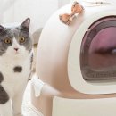 (주)페피테일 이미지