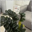 광진세무회계사무소 네이버블로그