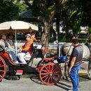 행복한 나들이 이미지