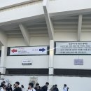 잠실야구장 3루내야석 LG트윈스 직관 후기 ⚾ (feat. 노랑통닭, 열무국수)