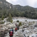 Momyer Creek to Dobbs Cabin 3/14/26 이미지