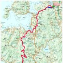 맹종죽순체험길 이미지