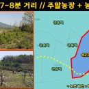 군유 농장 Daum카페