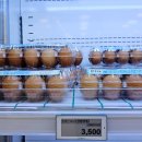 장항양계 이미지