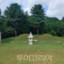 묘