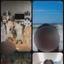 GS25신촌포구점 이미지