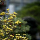 즐거운 유화 이미지