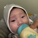 잠원동 21-2 사무실용 건축물 | 2025 대한민국건축문화제, 노들섬, 블루메쯔(feat. 유현준)