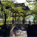 김수곤농장 | 전남 구례여행 – 사성암, 천은사, 섬진강 대숲길