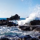 고산수월봉 이미지