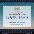 리나바이올린