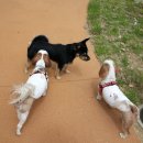 끼리끼리 이미지