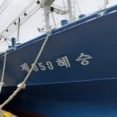 주식회사 바다마을