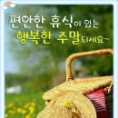해변에서팬션