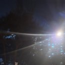 신서중학교 앞 이미지