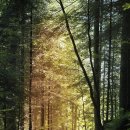 친구야 MT가자 이미지