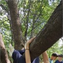 4 계절 이미지