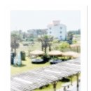 브라보케이크