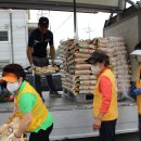 한솔라이프 이미지