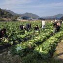 금산군청 이미지