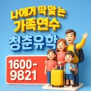 국제카크리닉 | 다낭 가족연수, 아이와 부모가 동시에 성장하는 베트남 바캉스 교실