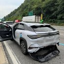 BYD 씨라이언, 현대 펠리세이드 크루즈 주행 추돌 사고 이미지