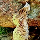 천년 행정사 이미지