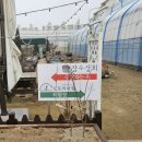 금강산동태탕 이미지