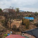 이박통상 이미지