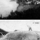 서귀포산업 주식회사 - 1061 | 서귀포산업 주식회사