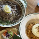 노아노이 | 성수 데이트 쌀국수 존맛 노이 해산물볶음밥 스프링롤 맛집