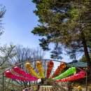 금륜사 | 양산 천성산 원효암