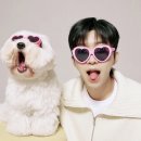 DM카페