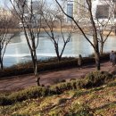 석촌상가 앞 횡단보도 이미지