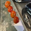 설탕 노래연습장 이미지