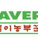 국수나무 진도점 이미지