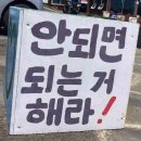 돈빼고 살찌는 백수의 12월 일상 (스압주의)