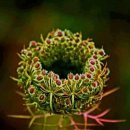 도서관옥상3 이미지